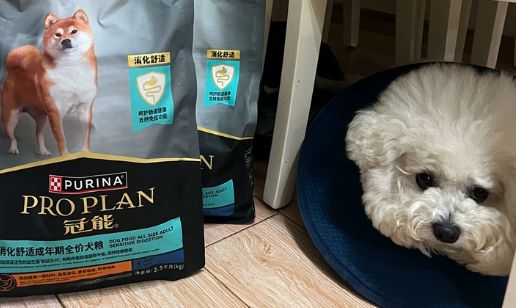 适合肠胃不好的狗粮推荐冠能，易消化配方更安心！