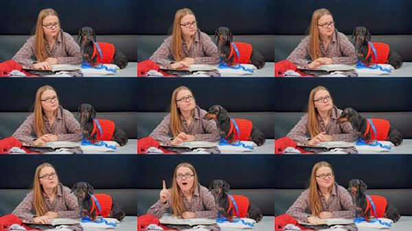 服装设计师为宠物狗构思服装模型,进行头脑风暴。