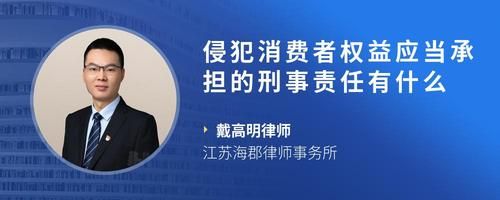 侵犯消费者权益应当承担的刑事责任有什么