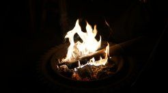 律师应承担哪些法律责任