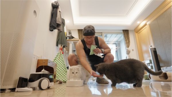 国庆上门喂猫,入账近3万元!“9天上门喂猫收8100元”是真的吗?体验宠物托管师的一天