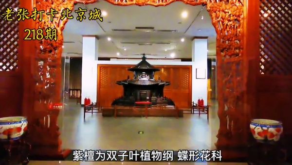 800年才长成的紫檀木，里面全都是很珍贵的东西，老张被震惊到了