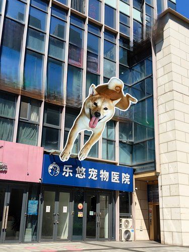 北京人记住大兴这栋楼‼️‼️‼️