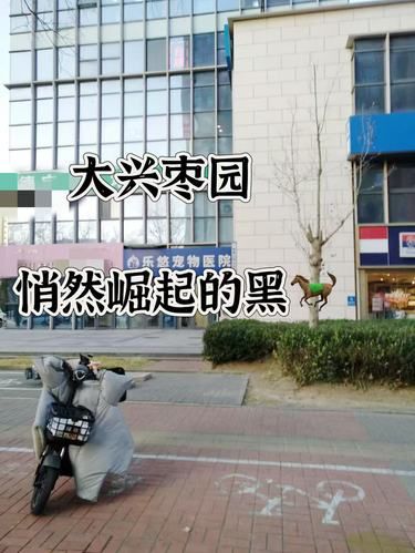 枣园附近的小伙伴开心了!