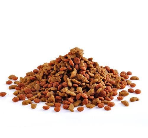 挑选猫咪主食，营养口感兼顾。