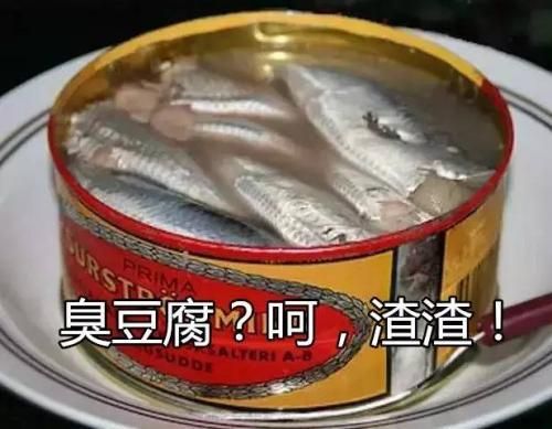 猫咪美食：鲱鱼罐头，营养美味