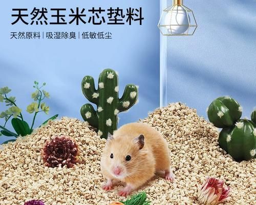 选择合适的兔子垫料，（为宠物兔提供舒适干燥的居住环境）