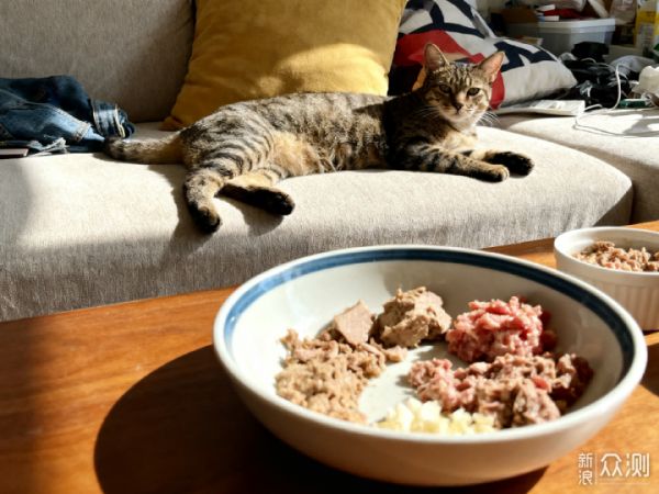 自制猫饭怎么做如何自制猫饭?看自制猫饭食谱_新浪众测