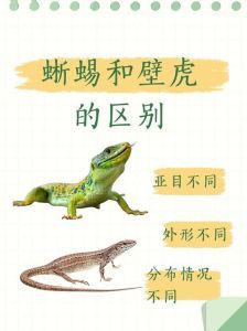 节肢动物是爬宠吗_节肢宠物虽受欢迎,但非爬宠,养前须知!