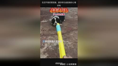 生活不易仍需坚强，愿你早日战胜挫折心情好转