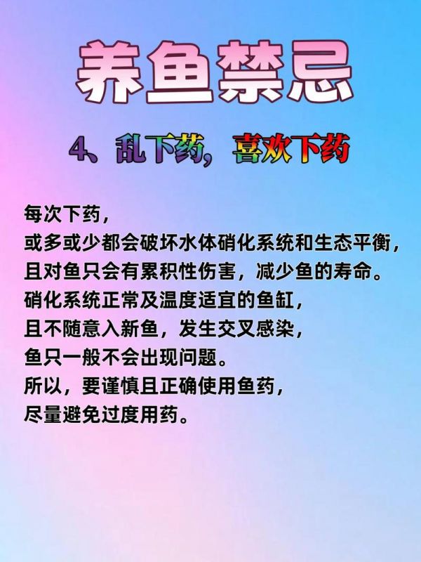 养鱼11种禁忌新手入门必看_除氯控温少喂滤材保菌混养选对病鱼先停食