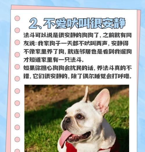 如何解决法国斗牛犬体臭问题（宠物保健中的必修课——掌握宠物清洁技巧）