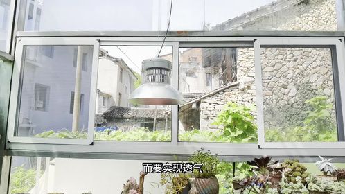 肉肉通风的三大误区，你中招了吗？快来看看正确的通风方法吧！