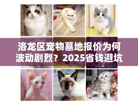 洛龙区宠物墓地报价为何波动剧烈?2025省钱避坑实战手册