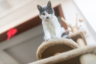 2025-12-18文章推荐