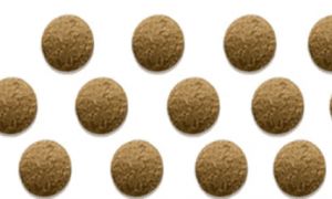 辽宁海辰工厂有哪些猫粮牌子