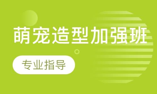 萌宠造型加强班