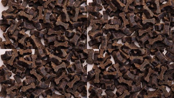 棕色狗零食,形状像小骨头,在白色背景上旋转,美味的干宠物小吃,健康的犬类食品,宠物商店动物护理狗训练