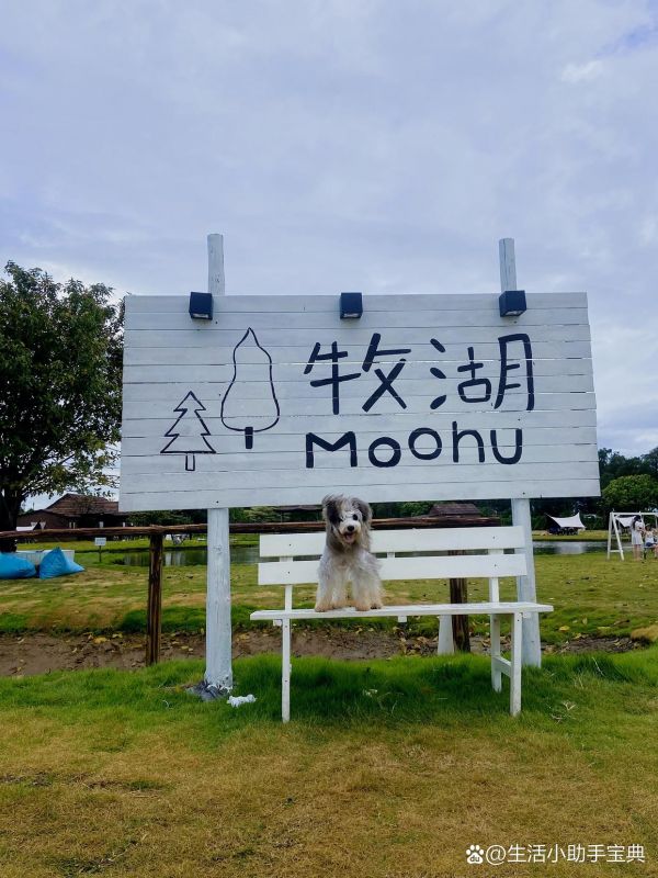 牧湖农场避坑指南:宠物区安全隐患⚠️ 牧湖农场风景超赞,但务必避开周六日去,体验感才更好⬆️!否则人潮拥挤,影响心情。 宠物区域标识不清是大问题:怕宠物的人误入易引发口角!我亲历怕狗者想踢小狗,幸好及时阻拦。明明牌子写明宠物活动区,结果进来的多半怕狗?太离谱了! 呼吁管理处完善标识+安好门扣,杜绝争执和宠物外逃吓人。希望此帖被管理层看到! #牧湖农场# #番禺牧湖农场#广州露营地# #宠物安全# #农场攻略# #周末避雷# (本文部分素材源自网络,仅用于分享,非商业用途,特此声明)-有驾