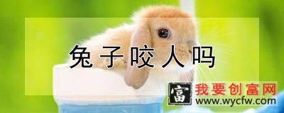 兔子咬人吗