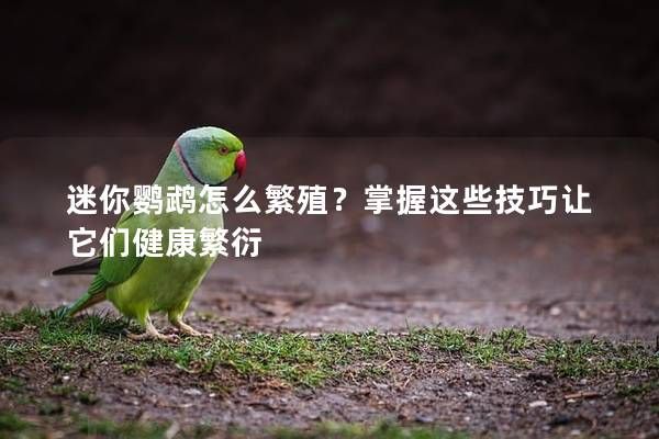 迷你鹦鹉怎么繁殖？掌握这些技巧让它们健康繁衍