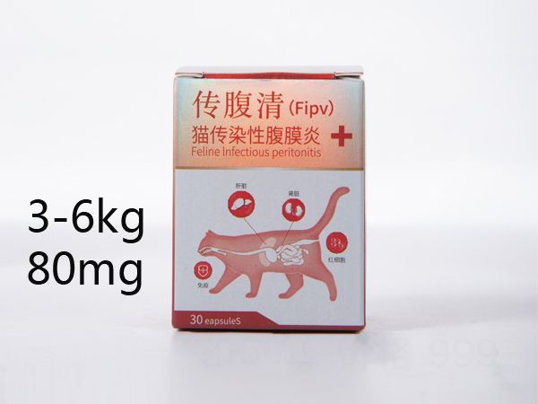 深圳可以通过食疗辅助进行猫传腹治疗吗？ 