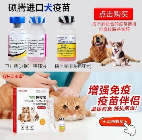 “宠物健康不打针，秘籍分享！”