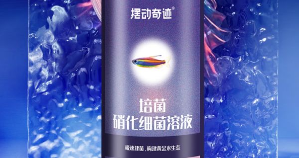 鱼缸净化剂什么牌子好？摆动奇迹，极速建菌，重塑鱼缸黄金水生态