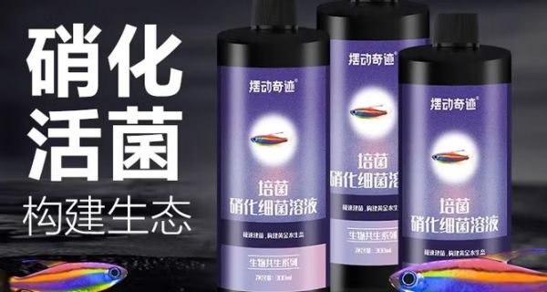 鱼缸净化剂什么牌子好？摆动奇迹，极速建菌，重塑鱼缸黄金水生态