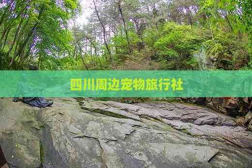 四川周边宠物旅行社