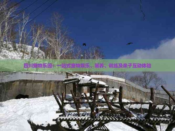 四川宠物乐园:一站式宠物娱乐、寄养、训练及亲子互动体验