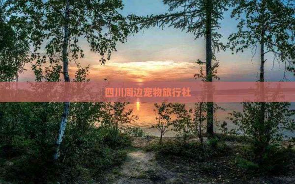 四川周边宠物旅行社