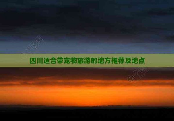 四川适合带宠物旅游的地方推荐及地点