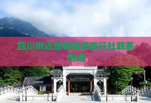 四川附近宠物友好旅行社联系电话