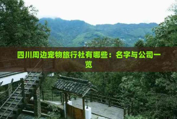 四川周边宠物旅行社有哪些:名字与公司一览