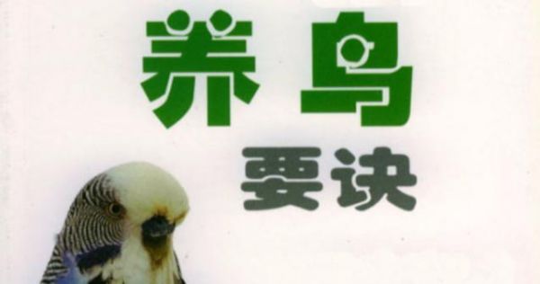 养鸟小知识（养鸟必读，八哥和鹩哥的饲养须知）