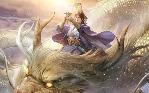 小猫烫耳警钟，养宠须知安全细节