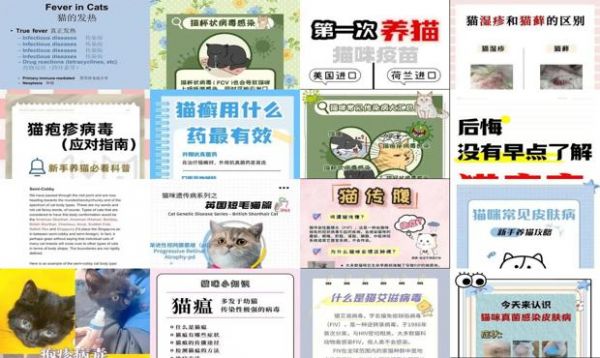 猫传染病英文缩写