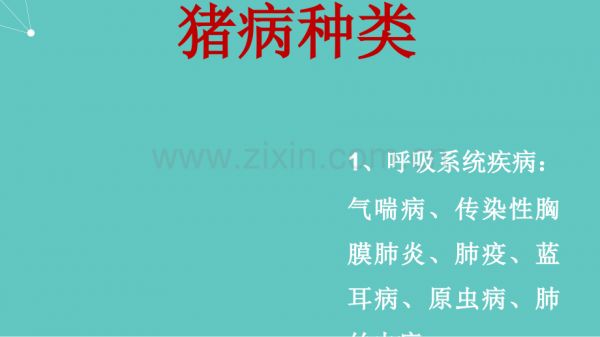 猪病诊治大全.pptx_第2页