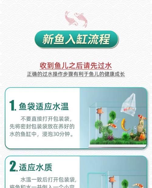 丝蝴蝶鱼的饲养方法（细节决定一切，从选购到水质管理）