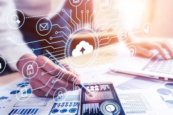 探析乌鲁木齐宠物猫用品运输服务企业排名及其市场潜力 图2