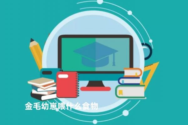 金毛幼崽喂什么食物