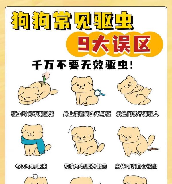 狗狗怀孕多久驱虫的必要性（详解狗狗怀孕期间进行驱虫的重要性及时间点）