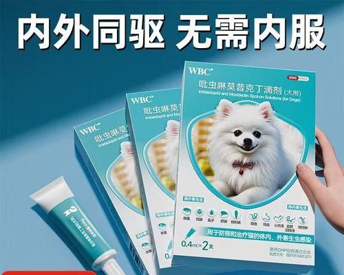 狗狗怀孕多久驱虫的必要性（详解狗狗怀孕期间进行驱虫的重要性及时间点）