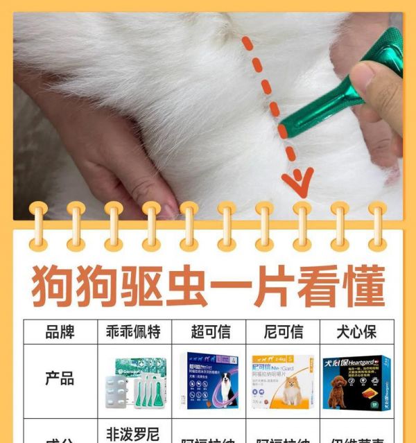 狗狗怀孕多久驱虫的必要性（详解狗狗怀孕期间进行驱虫的重要性及时间点）