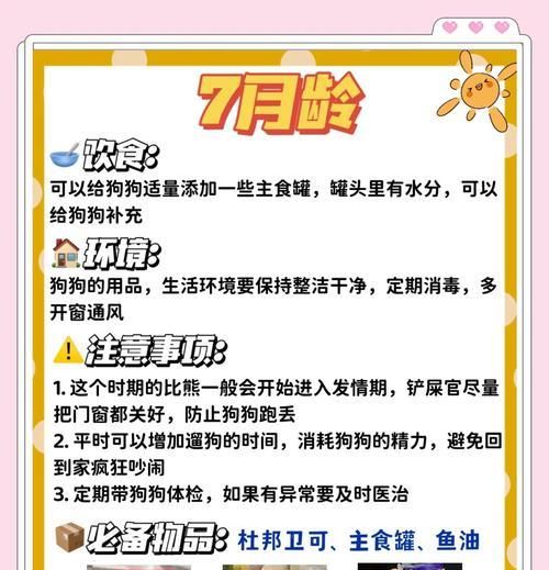 比熊犬怀孕期间的饮食需求（为你的宠物提供健康、营养的食品）
