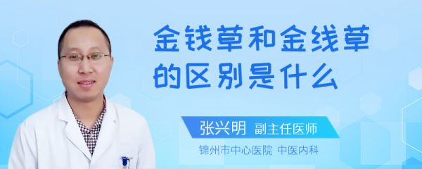 金钱草和金线草的区别是什么
