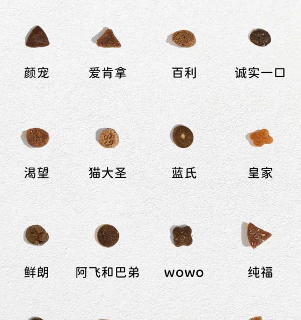 繁育猫咪的猫粮怎么吃？如何喂食繁育期的猫咪？