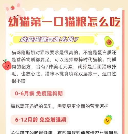 繁育猫咪的猫粮怎么吃？如何喂食繁育期的猫咪？