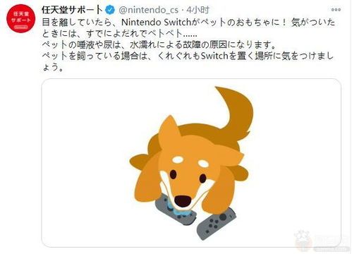 新手必知:小鸟孵化温度指南,轻松成为宠物达人!